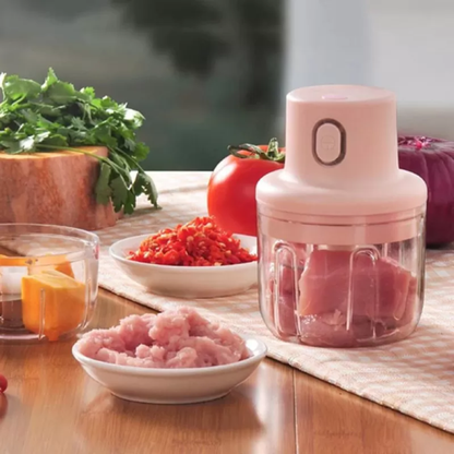 Single Bowl Usb Rechargeable Mini Grinder Food Chopper (250ml)